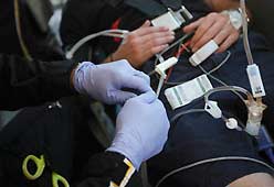 clinical-sm Clinical Standards
